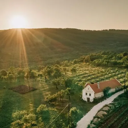 Kali Birtok Szentbekkalla, Ferienhaus/guesthouse Дом отдыха Сентбеккалла