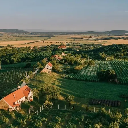 Kali Birtok Szentbekkalla, Ferienhaus/guesthouse Szentbekkalla