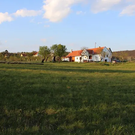 Kali Birtok Szentbekkalla, Ferienhaus/guesthouse Holiday home *